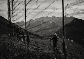 ColJamanBW_FP17_10